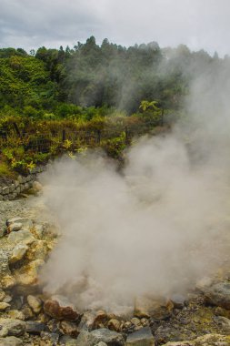 Furnas köyünde jeotermal aktivite, Sao Miguel, Azores, Portekiz