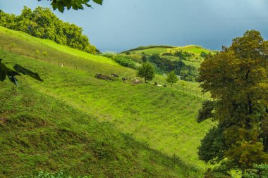 Sao Miguel, Azores, Portekiz 'deki güzel tarlalar ve manzara