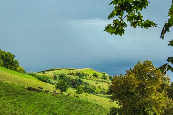 Beautiful fields and landscape on the island of Sao Miguel, Azores, Portugal — Stock Photo, Image