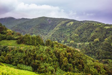 Sao Miguel adasındaki yeşil tepeler ve dağlar, Azores, Portekiz