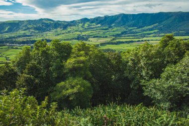 Sao Miguel, Azores, Portekiz 'de güzel yeşil bir manzara.