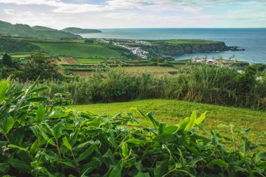 Sao Miguel, Azores, Portekiz 'de güzel yeşil bir manzara.