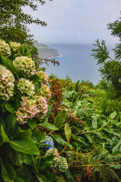 Beautiful view of eastern coast of Sao Miguel island, Azores, Portugal — Stock Photo, Image