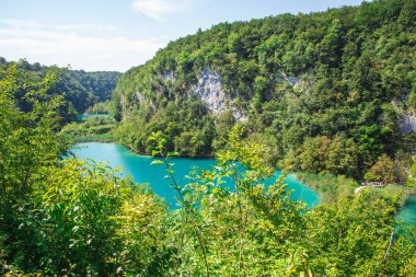 Hırvatistan 'daki Plitvice Gölleri Ulusal Parkı' nda resim manzarası.