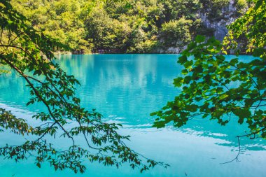 Hırvatistan 'daki Plitvice Gölleri Ulusal Parkı' nda resim manzarası.