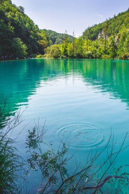 Hırvatistan 'daki Plitvice Gölleri Ulusal Parkı' nda resim manzarası.
