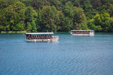 Hırvatistan 'daki Plitvice Gölleri Ulusal Parkı' nda resim manzarası.