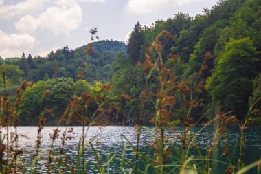 Hırvatistan 'daki Plitvice Gölleri Ulusal Parkı' nda resim manzarası.