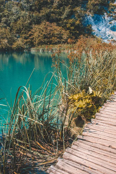 Γραφικό Τοπίο Στο Εθνικό Πάρκο Plitvice Lakes Στην Κροατία — Φωτογραφία Αρχείου