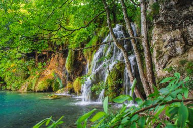Hırvatistan 'daki Plitvice Gölleri Ulusal Parkı' nda resim manzarası.