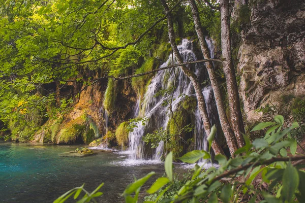 Festői Táj Plitvicei Tavak Nemzeti Parkban Horvátországban — Stock Fotó