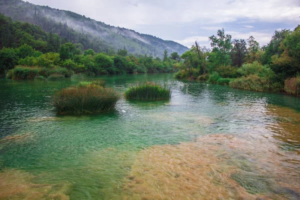 Řeka Divoká Krajina Národním Parku Krka Chorvatsku — Stock fotografie