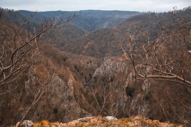 Almanya 'daki Harz Dağları Ulusal Parkı' ndaki Rosstrappe bakış açısından Vahşi Bodetal