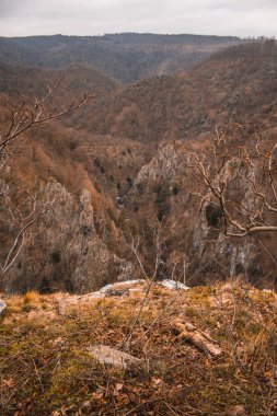 Almanya 'daki Harz Dağları Ulusal Parkı' ndaki Rosstrappe bakış açısından Vahşi Bodetal