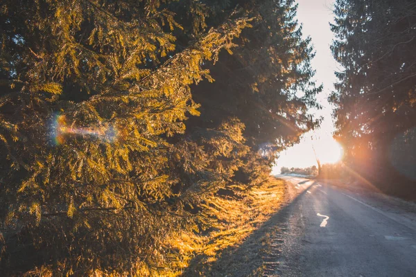 Ανατολή Ηλίου Στο Εθνικό Πάρκο Harz Mountains Στη Γερμανία — Φωτογραφία Αρχείου