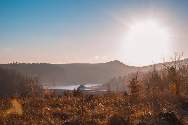 Vue Panoramique Eckerstausee Lac Dans Parc National Des Montagnes Harz — Photo