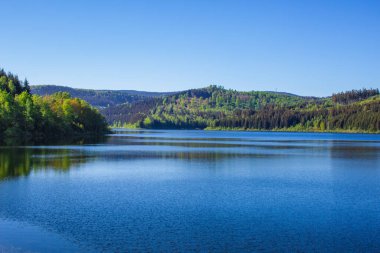 Granestausee 'nin sakin manzarası, Harz Dağları Ulusal Parkı, Almanya