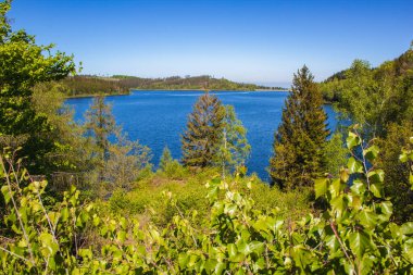 Almanya 'daki Harz Dağları Ulusal Parkı' ndaki Granestausee rezervuarı ve ormanı