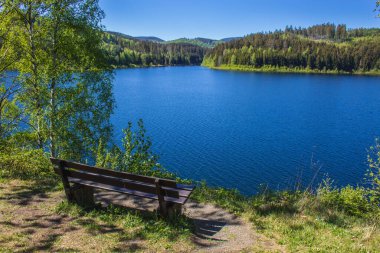 Granestausee 'nin sakin manzarası, Harz Dağları Ulusal Parkı, Almanya