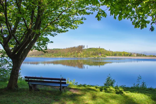 Granestausee 'nin sakin manzarası, Harz Dağları Ulusal Parkı, Almanya