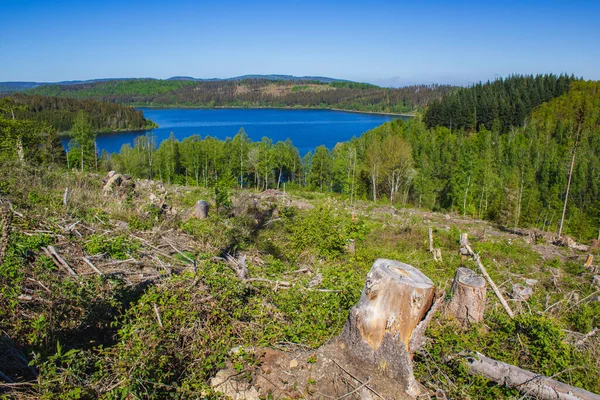 Vista Del Embalse Granestausee Con Deforestación Parcial Parte Delantera Parque — Foto de Stock