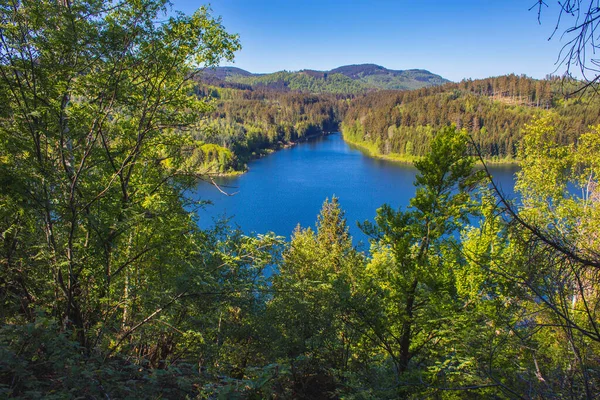 Vista Del Embalse Granestausee Bosque Parque Nacional Las Montañas Harz — Foto de Stock