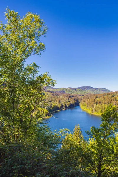 Vista Reservatório Floresta Granestausee Parque Nacional Das Montanhas Harz Alemanha — Fotografia de Stock