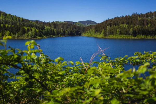 ドイツのハルツ山国立公園のグラネスタウジー貯水池と森林の眺め — ストック写真