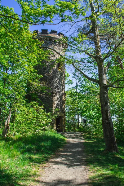 Steinbergturm Gömd Skogen Harz Mountains National Park Tyskland — Stockfoto