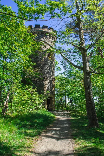 森の中に隠されたシュタインベルクターム ハーツ山脈国立公園 ドイツ — ストック写真