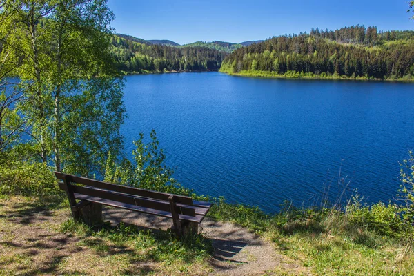 Granestausee 'nin sakin manzarası, Harz Dağları Ulusal Parkı, Almanya