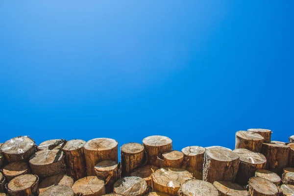 天然木の丸太の山 木の質感の背景 — ストック写真