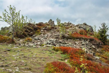Harz Dağları Ulusal Parkı, Almanya 'dan Wolfswarte (Bruchberg) görüntüsü
