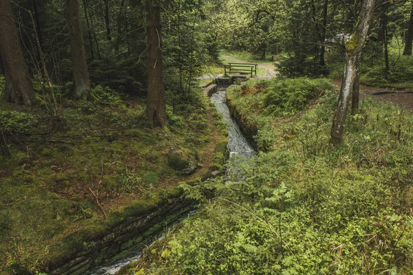 Córrego Água Floresta Harz Mountains National Park Alemanha — Fotografia de Stock