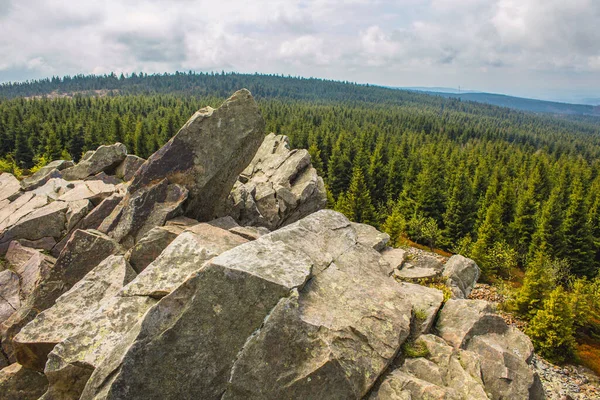 Vista Wolfswarte Bruchberg Harz Mountains National Park Alemanha — Fotografia de Stock