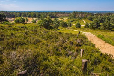 Wistinghauser Senne Doğa Parkı, Oerlinghausen yakınlarında. Kuzey Ren Vestfalyası, Almanya 'da Teutoburg Ormanı' nda yer alan bir doğa koruma alanıdır.