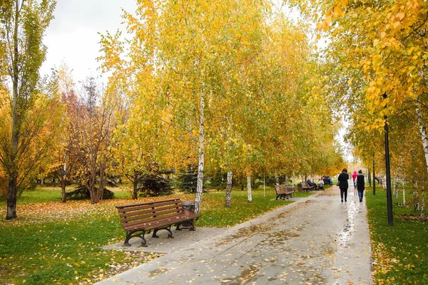 Parkway sonbaharın altın ağaçları ile. Kazan. Rusya. 10 Ekim 2017