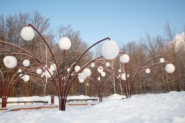 Güzel kış ormanı manzarası, karla kaplı ağaçlar