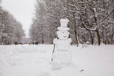Kardan adam kış parkta