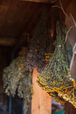 Kuru otlar ve çiçekler farklı türleri