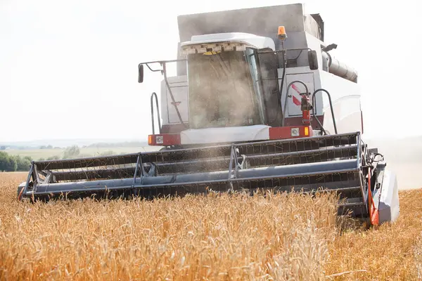 Kazan Russia August 2019 Combine Harvester Працює Дуже Широкому Полі — стокове фото