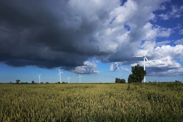 Wind Turbines Wheat Field Eco Power — Stock Photo, Image