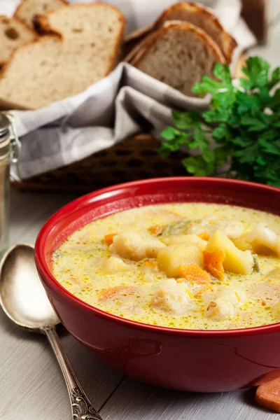 Sopa Verduras Con Ingredientes Zanahoria Coliflor Papa Perejil Tazón Rojo —  Fotos de Stock