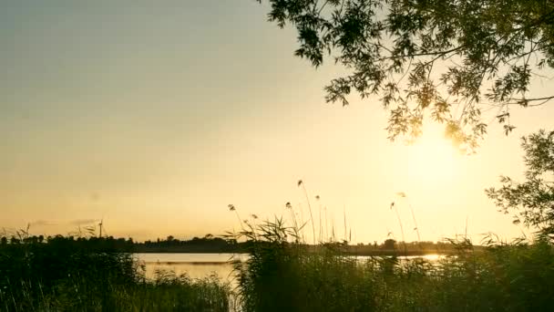 Paisaje Hermoso Cielo Antes Puesta Del Sol Sobre Lago Timelapse — Vídeo de stock