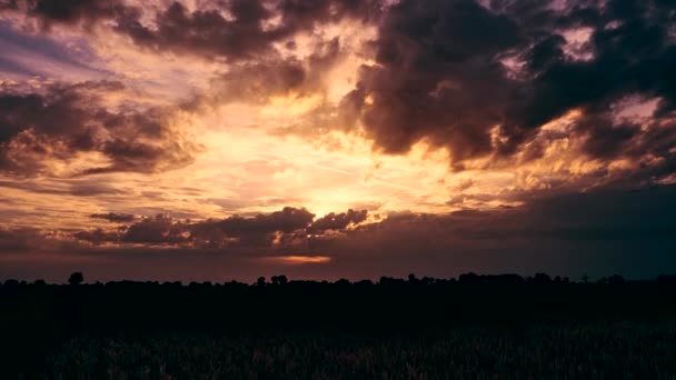 Crepúsculo Fantasia Nuvens Dinâmicas Antes Pôr Sol Prazo Validade — Vídeo de Stock