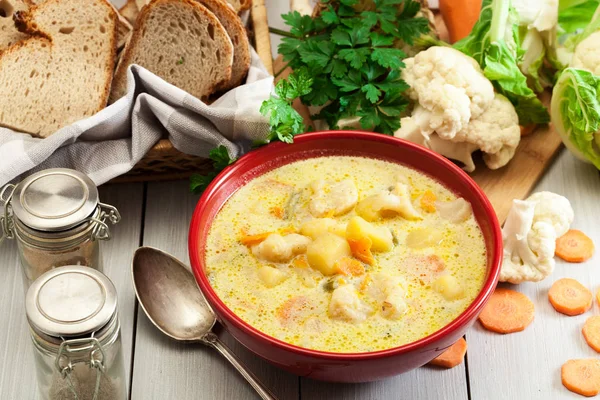 Vegetable Soup Ingredients Carrot Cauliflower Potato Parsley Red Bowl — Stock Photo, Image