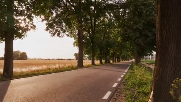 Estrada Rural Antes Pôr Sol Prazo Validade — Vídeo de Stock