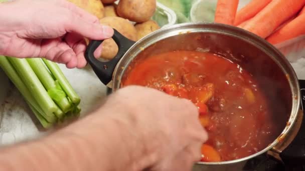 アイリッシュ シチュー 金属の鍋の内部を調理します 従来の聖パトリックの日の料理 — ストック動画