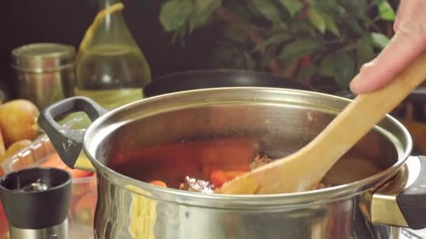 Cooking irish stew, inside a metal pot. Traditional St Patrick's day dish — Stock Footage Cooking Irish Stew Metal Pot Traditional Patrick Day Dish Stock Video