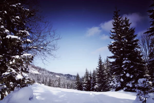 Snowy Widok Tatrach Zimowe Krajobrazy Serii Stonowanych Obrazów — Zdjęcie stockowe